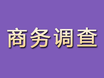 萍乡商务调查